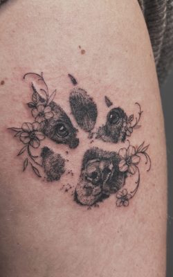 617C4D3A-5DAB-4038-A032-D9D391FA2DA2 617C4D3A-5DAB-4038-A032-D9D391FA2DA2